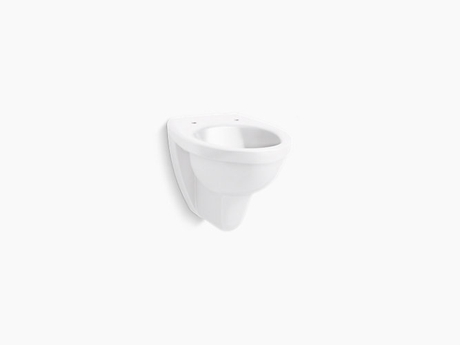 Kohler - Patio™  Wallhung bowl w/ flush diverter